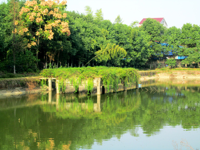 香蕉视频网址園湖光美景