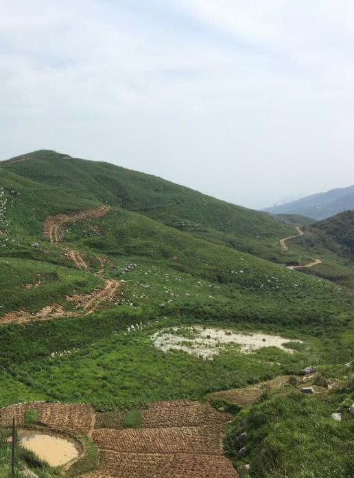 湖南省冷水江市錫礦山地區生態新大香蕉网項目